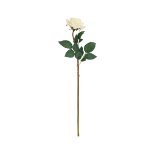 Flor Rosa 10x8x64 cm