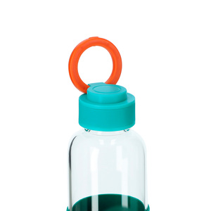 Botella de  Vidrio 550 ml